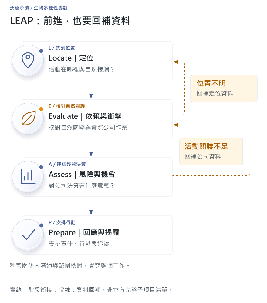 TNFD LEAP 怎麼做?地圖完成後,企業還缺哪一段評估?:概念與工作流程圖